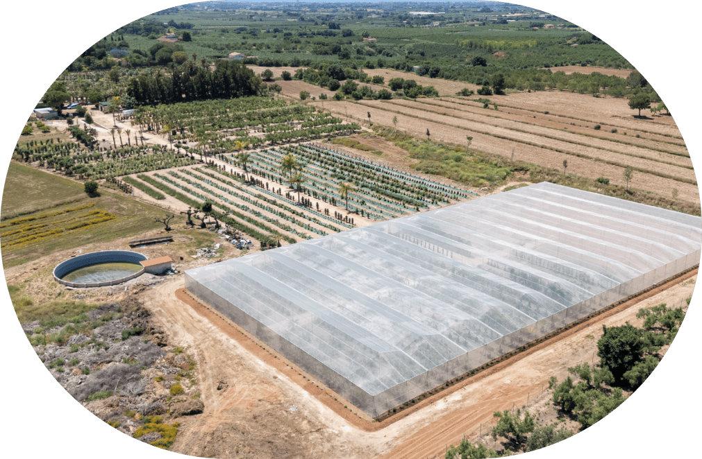 Vivero de NaturPalm visto desde el aire